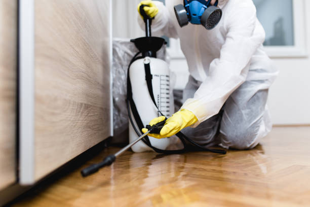 Reliable Merlin, OR Pest Control Solutions