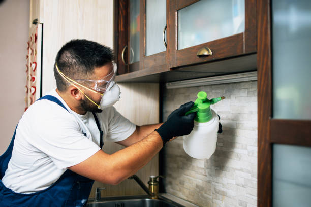 Best Ant Control Services  in Merlin, OR
