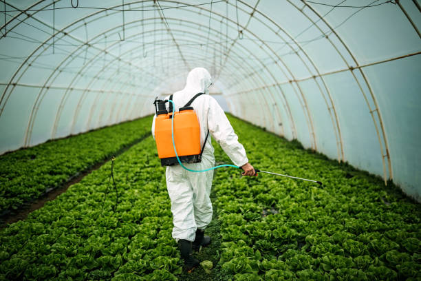 Best Pest Prevention Services  in Merlin, OR