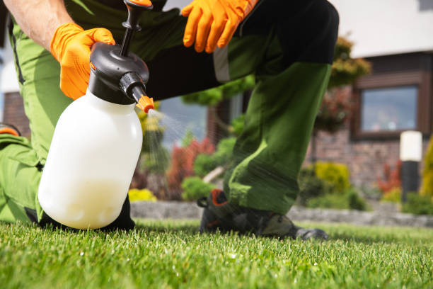 Best Pest Inspection Near Me  in Merlin, OR