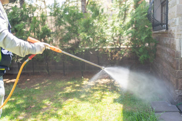 Pest Control for Restaurants in Merlin, OR