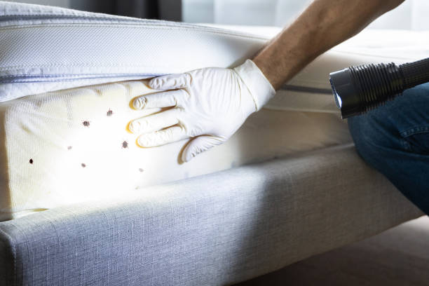Best Pest Control for Restaurants  in Merlin, OR