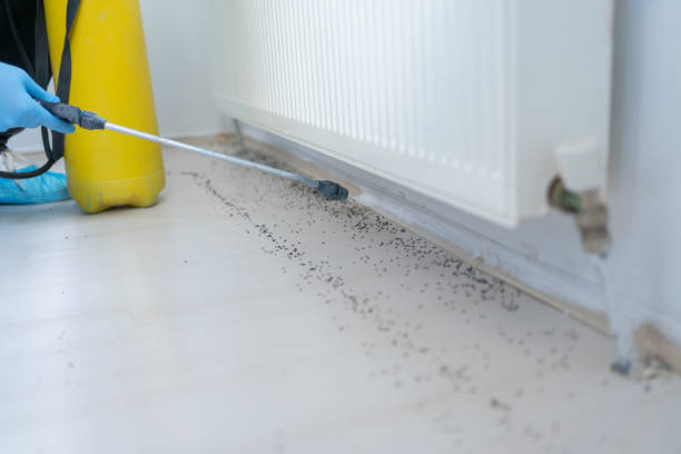 Best Emergency Pest Control  in Merlin, OR